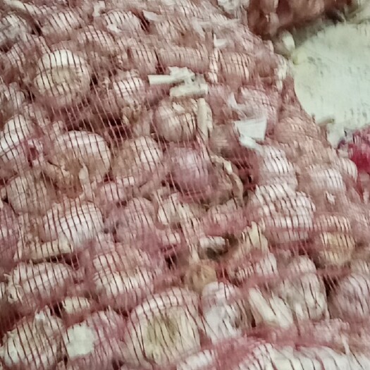 习水县通货大小都有，金乡大蒜辣味足