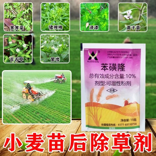 郑州10%苯磺隆15克小麦田苗后除草剂阔叶圆叶杂草除草剂猪秧秧