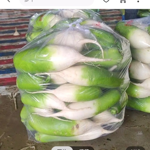 周口凤梨萝卜