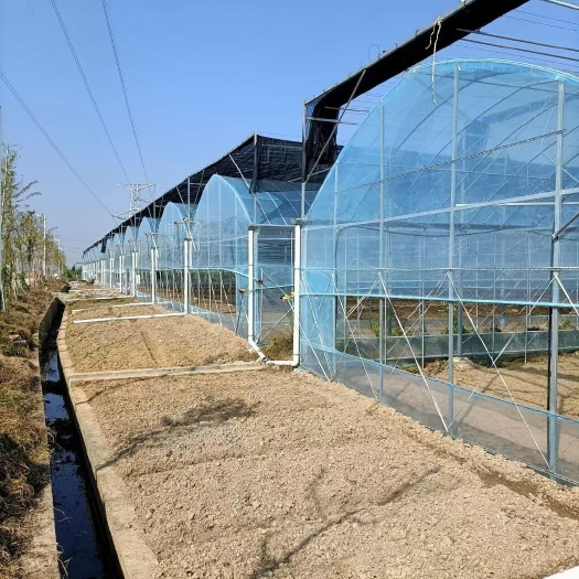 无锡热镀锌大棚管，镀锌带管，温室棚立柱出售