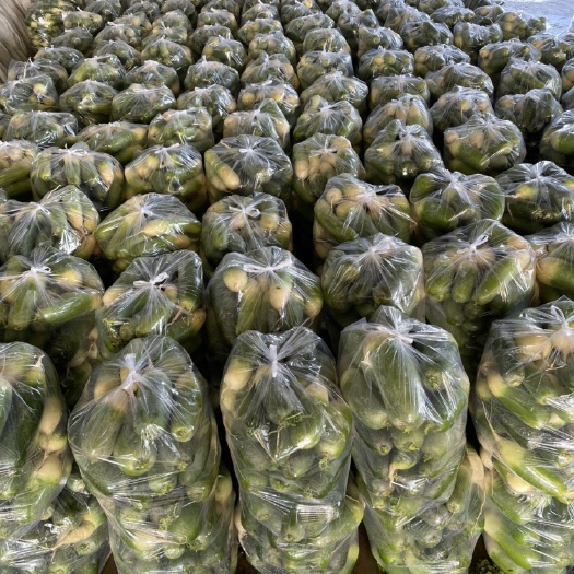 淮南口感好，条形好