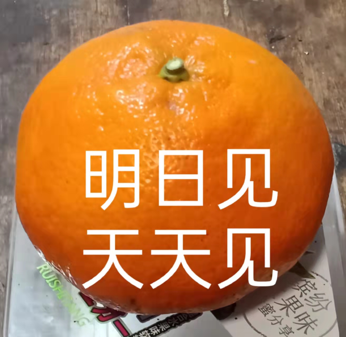 资中县明日见是明日之星柑橘口味香甜细嫩化渣果汁丰富易剥皮不粘手