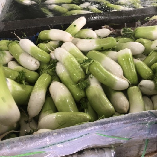 蒲江县水果萝卜
