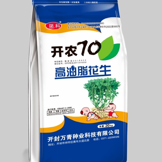 夏邑县花生种子，开农70