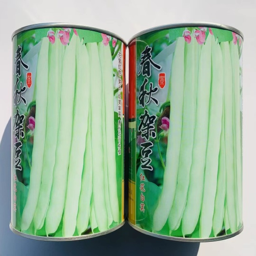 沭阳县龙盛春秋架豆种子红花白荚长荚早熟纤维少四季豆种籽菜豆种子
