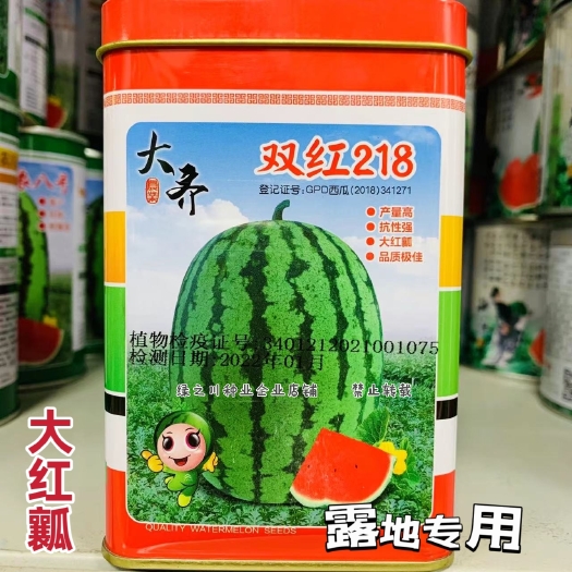 沭阳县露地专用大红瓤西瓜种子双红218花皮椭圆果大果型西瓜种籽耐旱