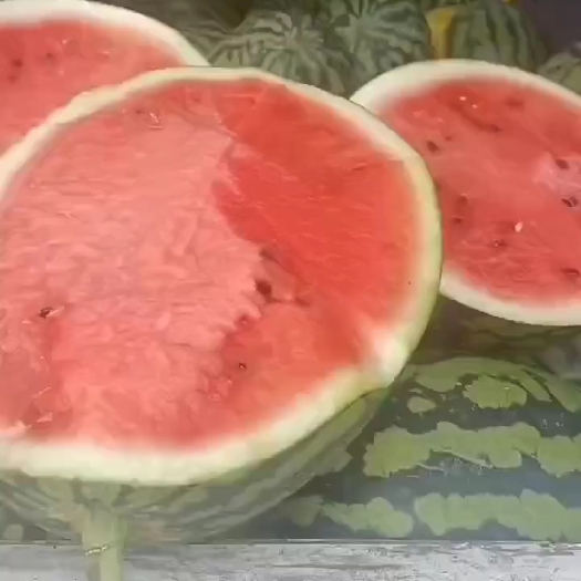 乐东县无籽西瓜
