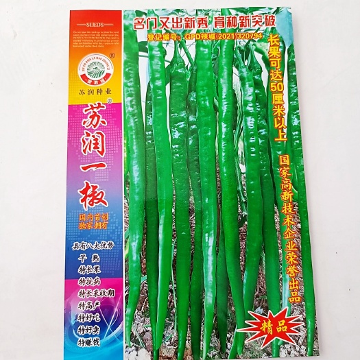 沭阳县辣椒种子苏润一椒早熟绿色特长果线椒特抗病特丰产辣味适中口感好