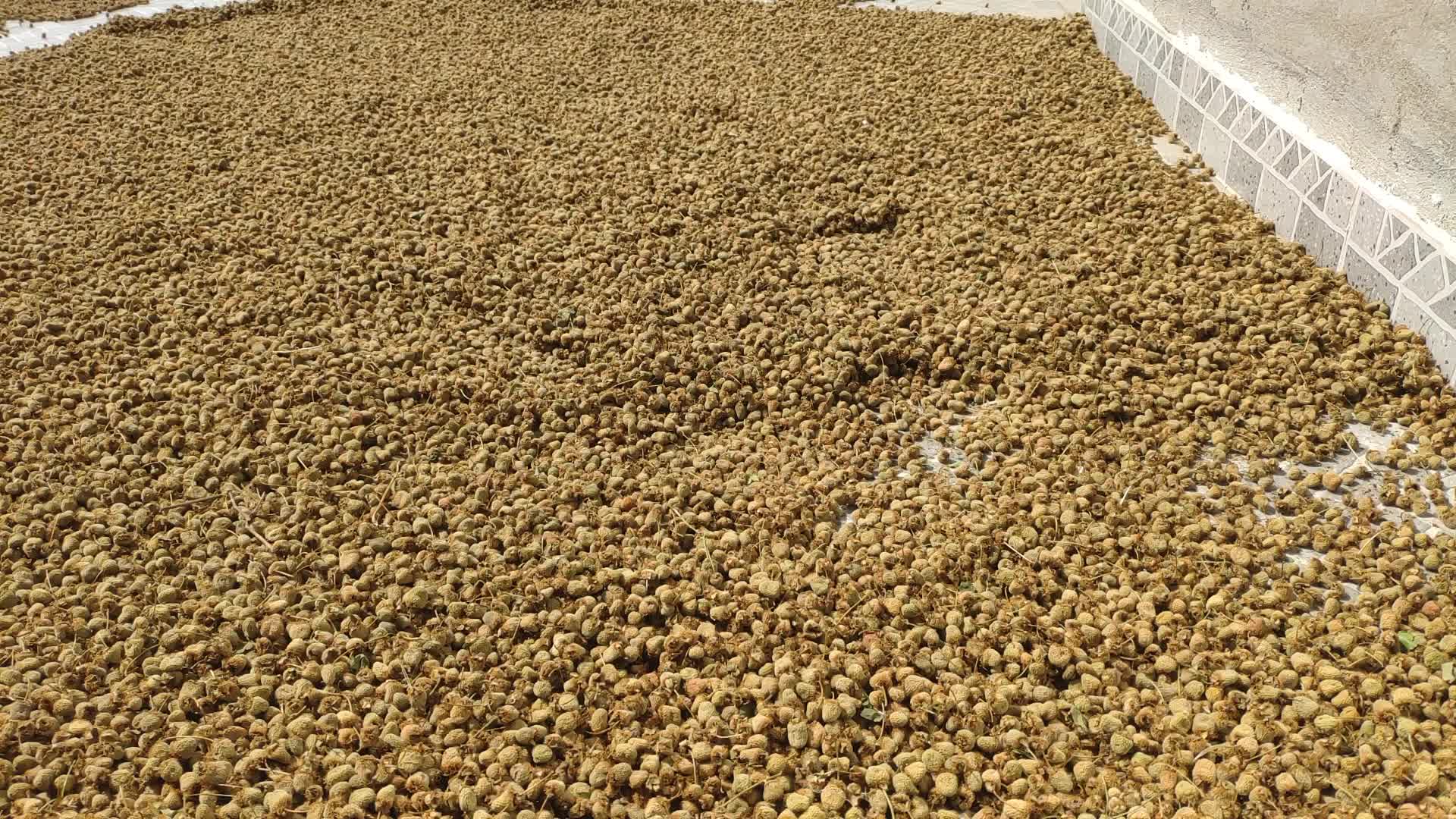 中药材原材料掌叶覆盆子大宗交易