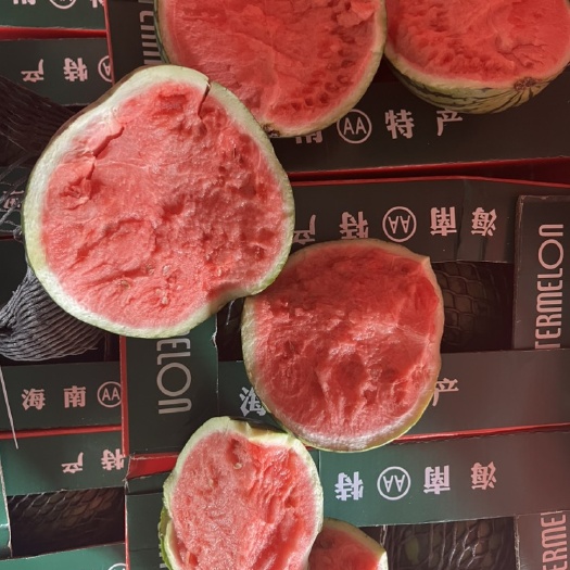 山西无籽美都