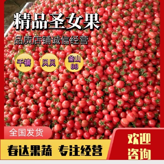 春达果蔬千禧、  贝贝圣女果口味香甜，商超，电商一首货源。