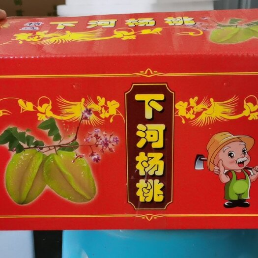 云霄县福建漳州下河杨桃，送礼佳品，快递版
