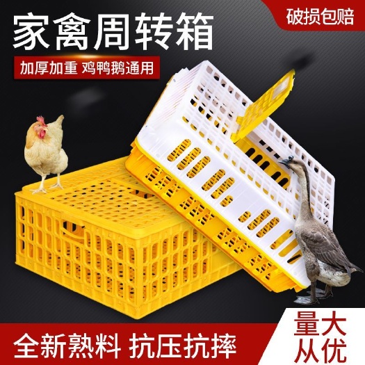 沧县【包邮量大优惠】鸡笼周转箱大号加厚防摔养殖运输塑料鸡鸭鹅笼