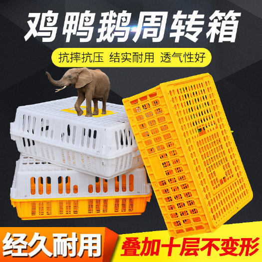 沧县【包邮量大从优】鸡笼周转箱家用加厚防摔养殖运输塑料鸡鸭鹅兔笼