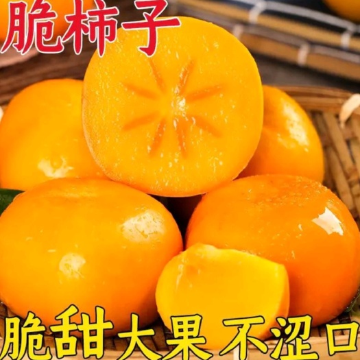 泰安脆甜柿子树苗：一年苗，二年苗，三年苗，1公分，3公分柿子树苗