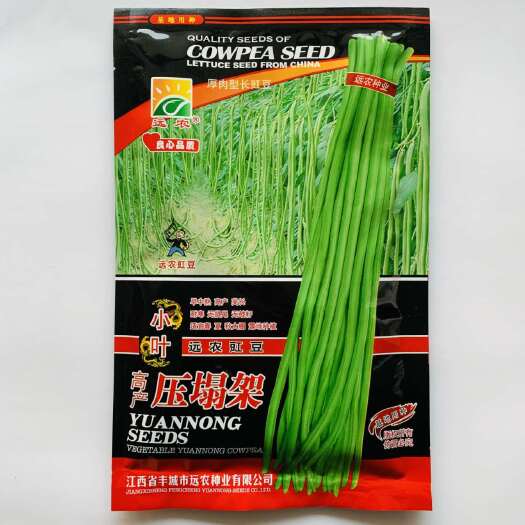 压塌架豆角种子早中熟高产抗病条荚为嫩绿色无鼠尾品质佳豇豆种子