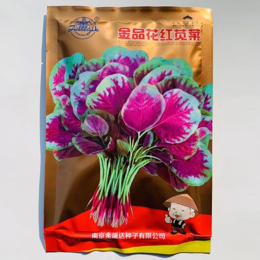 红苋菜种子金品花红苋菜种子卵圆形叶前端略尖全缘微波状中心红色