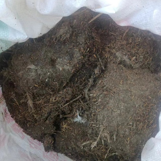 永丰县大量出售鸡粪  厂家直销 批发价格