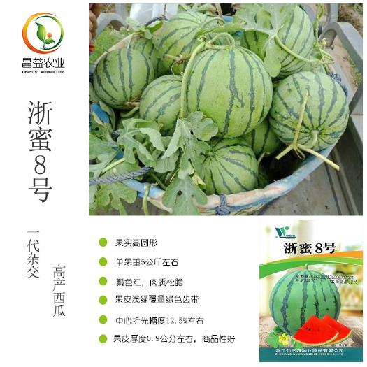 寿光市浙蜜8号西瓜种籽 勿忘农春播大棚西瓜种籽改良8424麒麟西瓜