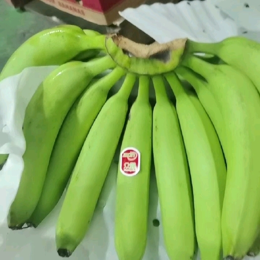 上海菲律宾香蕉