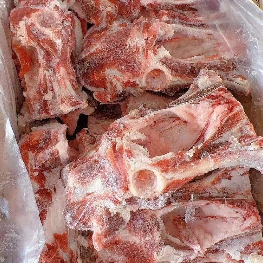 河间市羊骨  羔羊胯骨 可用于 自助餐 羊蝎子锅 火锅店