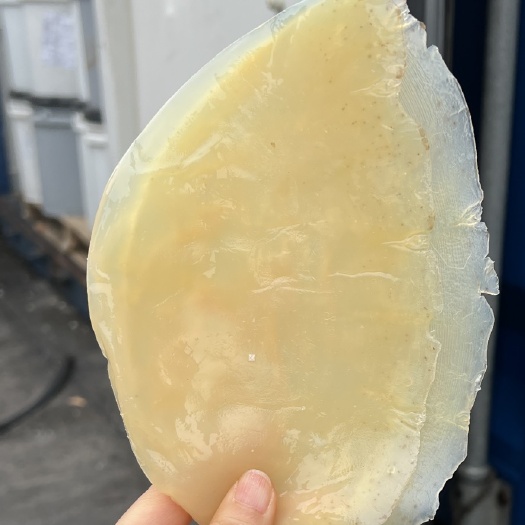 大连海蜇皮