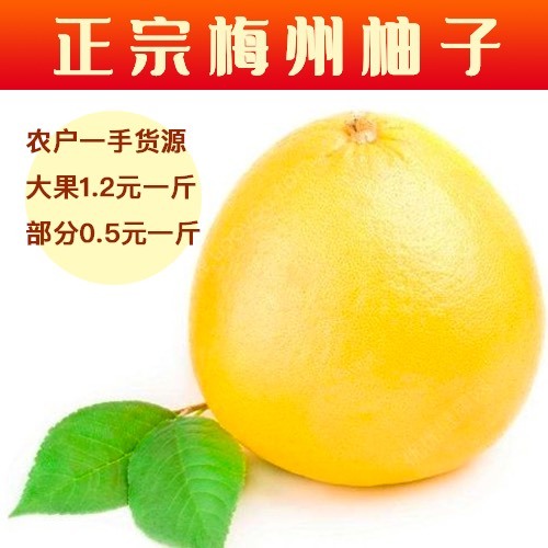 梅州梅州梅县柚子蜜柚，红心柚，三红柚产地水果批发，包甜，水分足