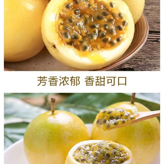 亲蜜黄金百香果嫁接苗