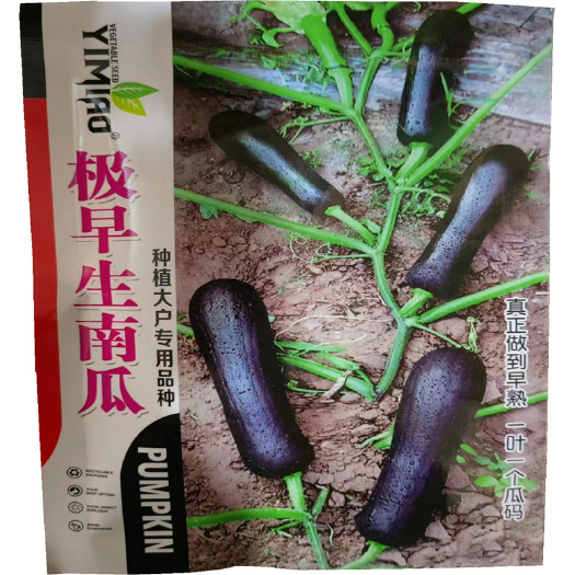济南极早生南瓜种子抗病纯黑七叶早南瓜种子早熟基地菜青南瓜种子