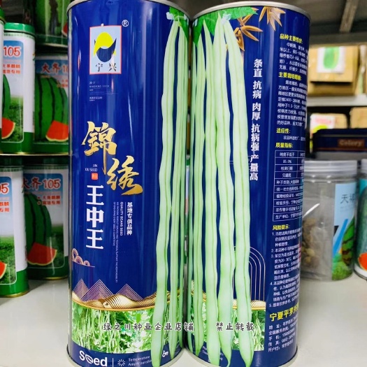 沭阳县基地专用品种锦绣王中王架豆王种子豆角条直抗病肉厚 白架豆种子