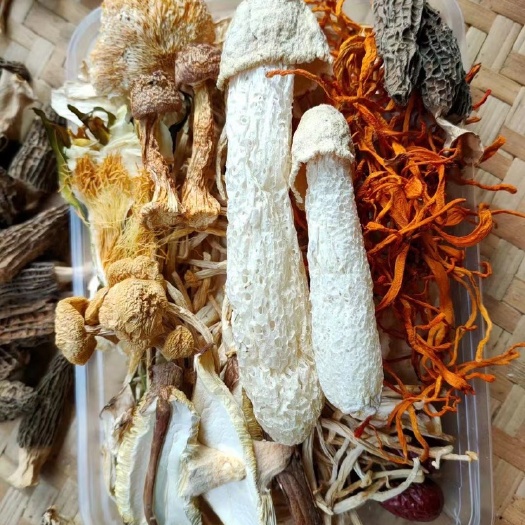 菌汤包  135-145克  云南特产  十二种菌类搭配而成