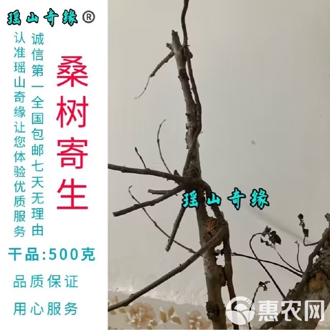 桑树寄生干品500克桑葚寄生桑寄生