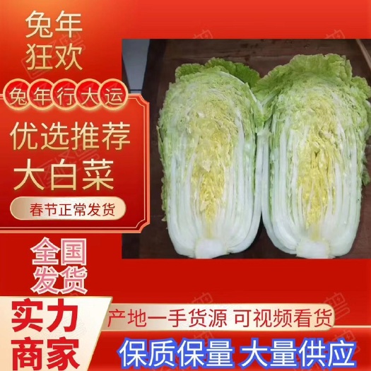三原县陕西咸阳大量白菜需要的老板联系