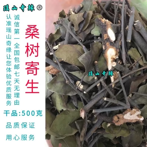 桑树寄生干品500克桑葚寄生桑寄生