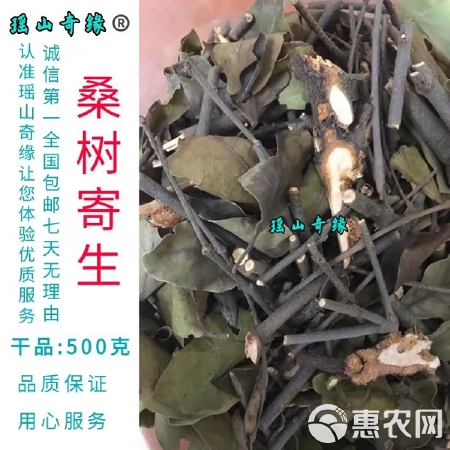 桑树寄生干品500克桑葚寄生桑寄生