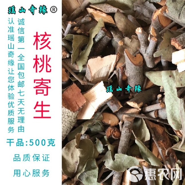 核桃寄生干品500克胡桃树寄生