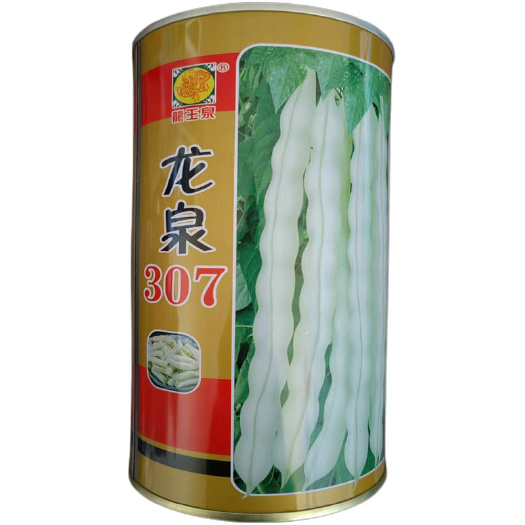 济南龙泉307芸豆种子早熟高产超级九粒白种子高产扁豆摘不败种籽