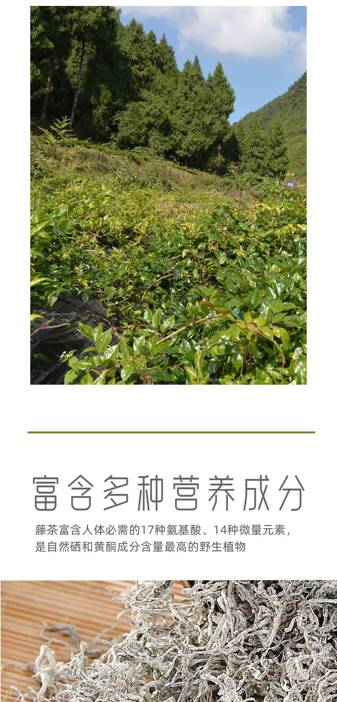 恩施藤茶2022龙须芽尖莓茶润喉茶硒都天然调理茶250g