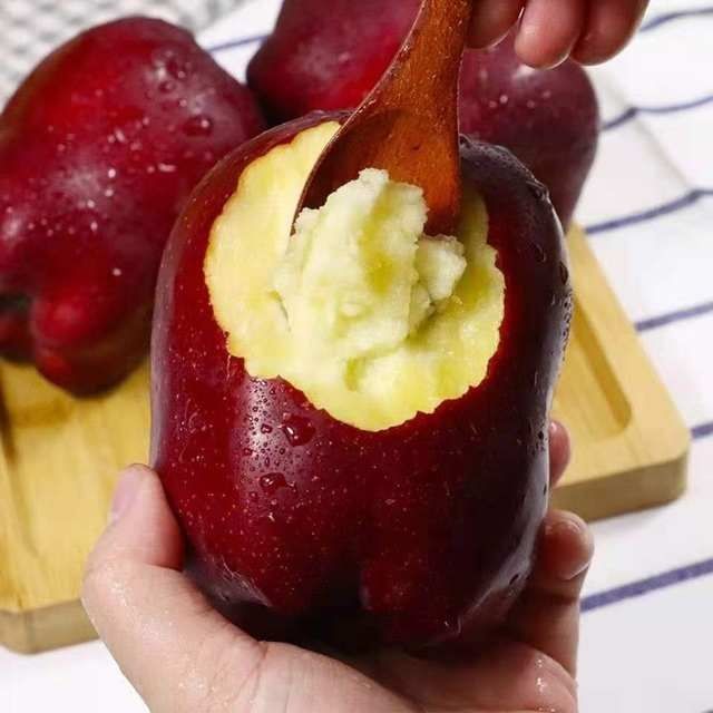 长沙【48小时发货】甘肃天水花牛苹果10斤新鲜水果当季整箱红蛇果