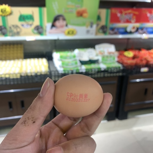 故城县正大叶黄素鸡蛋