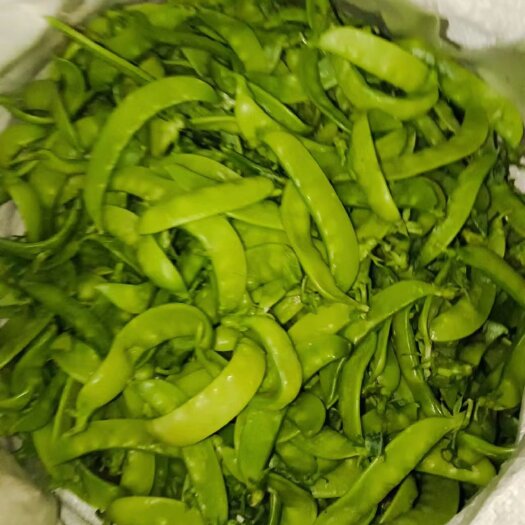 凭祥市产地批发荷兰豆，新鲜优质实惠