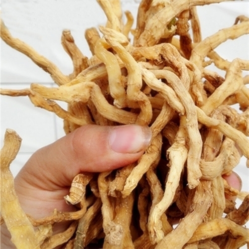 绩溪县湘玉竹  的玉竹干货