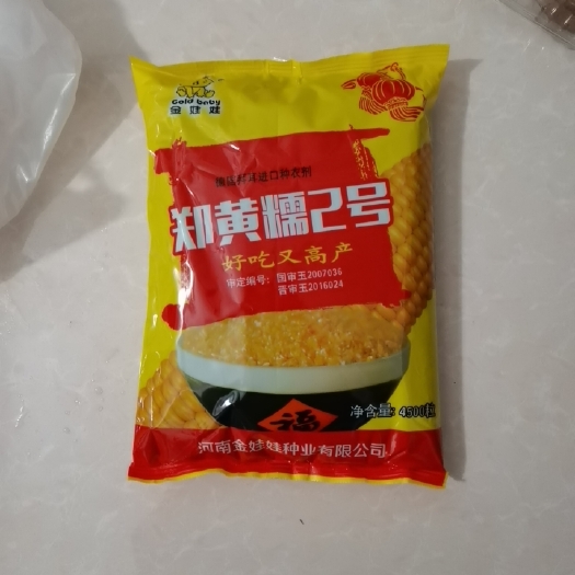 滑县郑黄糯2号玉米粒 净货 水份＜14%
