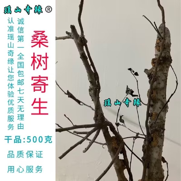 桑树寄生干品500克桑葚寄生桑寄生