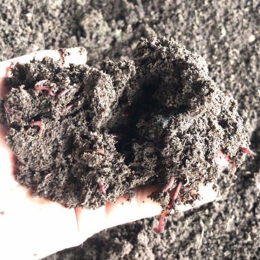 桂平市蚯蚓粪有机肥，纯蚯蚓粪，果蔬肥料，种植农作物基肥，底肥