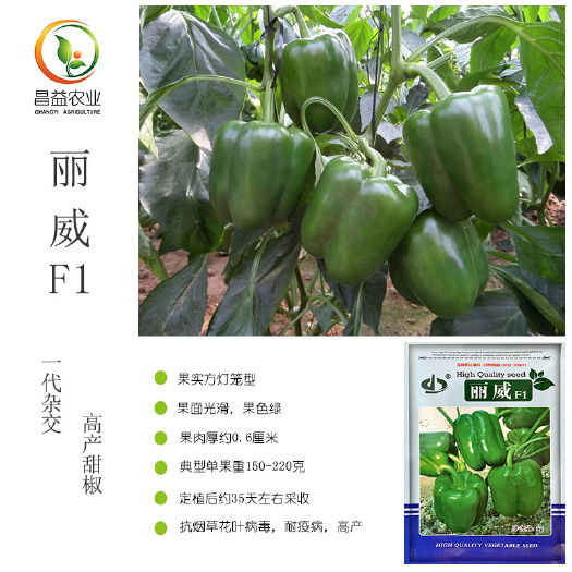 寿光市丽威F1甜椒种籽孑 青椒方椒灯笼椒五彩甜椒种子四季高产菜椒种