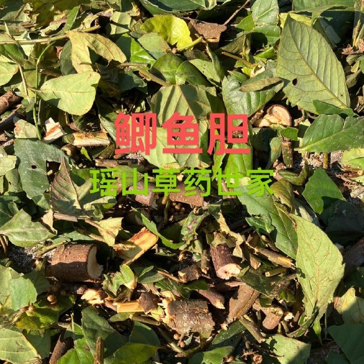 平南县广西鲫 鱼 胆茶500克空心花冷饭果