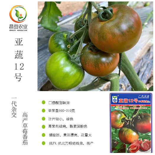 寿光市亚蔬12号口感草莓番茄种籽孑 广东亚蔬甜脆绿腚铁皮草莓番茄种