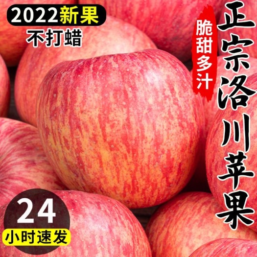 【陕西基地】新鲜陕西洛川红富士苹果脆甜冰糖心当季新鲜水果批发