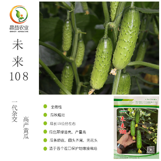未来108黄瓜种籽 青岛新干线全雌油亮水果旱黄瓜种子大刺口感